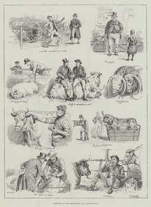 Bocetos en la Exposición de Ganado del Club Smithfield de S.T. Dadd